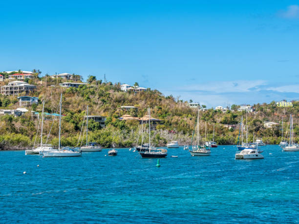 istock Tropcial island marina 1148437309
