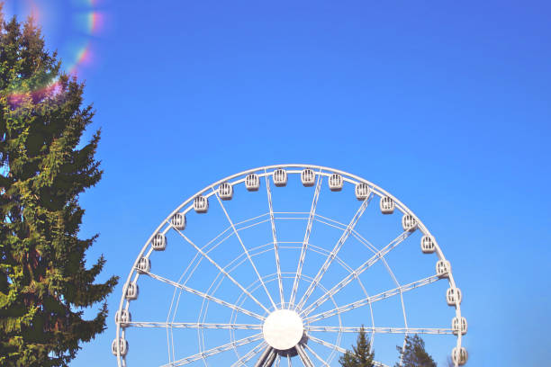 karuzela atrakcją jeździć biały diabelski młyn w parku rozrywki przed błękitnym niebem - carnival spinning built structure frame zdjęcia i obrazy z banku zdjęć