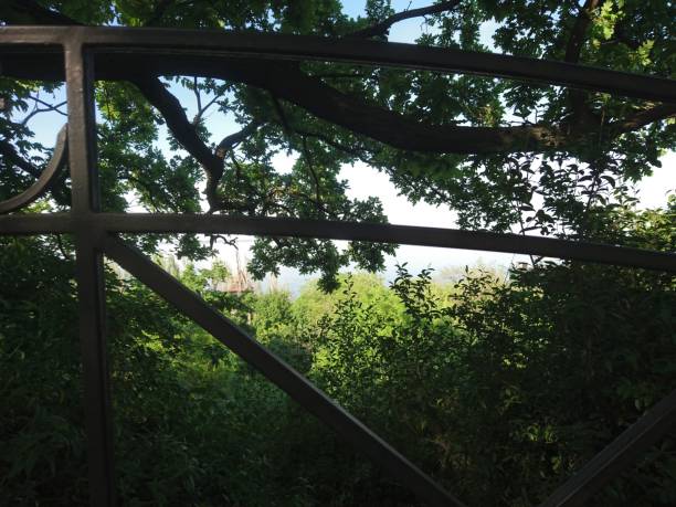 istock green trees behind an iron fence 1148447284