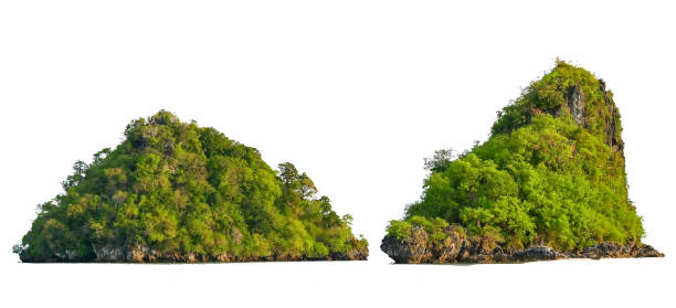 背景から切り離された緑の海の白い背景の中央に島を分離 - nature water earth environment ストックフォトと画像