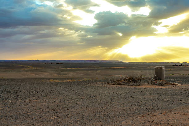Hamada du Draa, Moroccan stone desert at dawn with dry branches and a Berber shower in the foreground, sand dunes in the background, Morocco