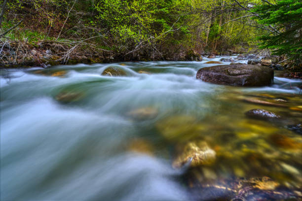 Streams and Waterfalls Along Canyon Creek - Scenic nature landscape with cascading waterfalls in beautiful lush green canyon.