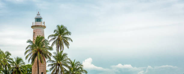 istock Lighthouse and palm trees on the sky background 1148454287