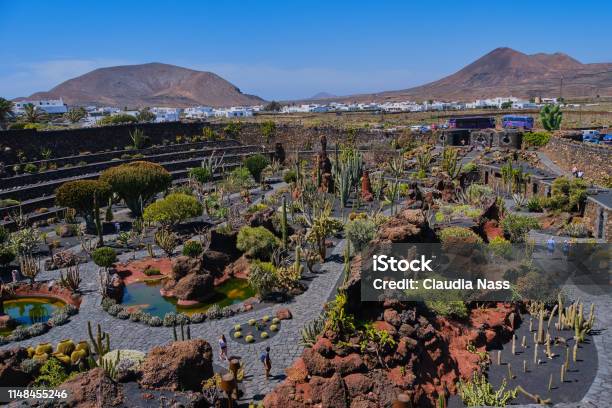 Jardín De Cactus En Guatiza Lanzarote Foto de stock y más banco de imágenes de Cactus - Cactus, Isla de Lanzarote, Aire libre