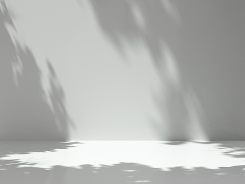 Pedestal for display,Platform for design,Blank product,Empty room with Tree shadow on the wall .3D rendering.