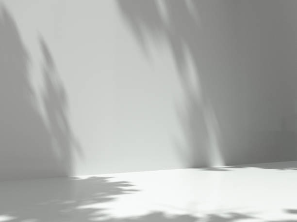 istock Pedestal for display,Platform for design,Blank product,Empty room with Tree shadow on the wall .3D rendering. 1148456191