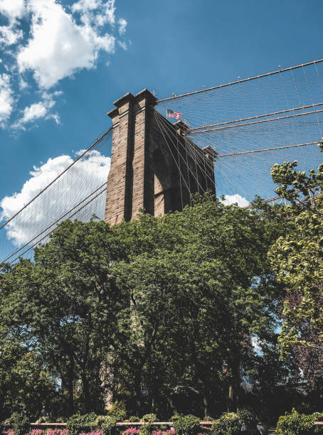 istock Brooklyn Bridge rising above the vegetation 1148456763