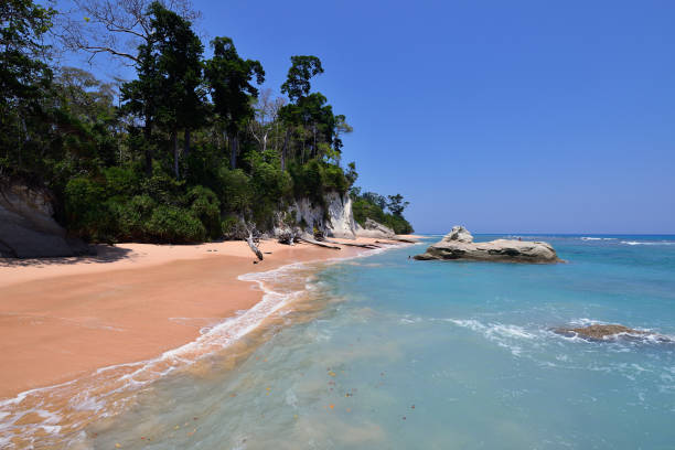 India, Anaman island beach Most beautiful, exotic Sitapur beach on Andaman at Neil Island of the Andaman and Nicobar Islands, India andaman sea stock pictures, royalty-free photos & images