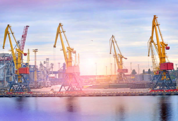 istock Seaport with cranes landscape 1148465677
