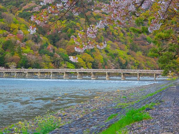 istock Japanese landscape688 spring 1148465783