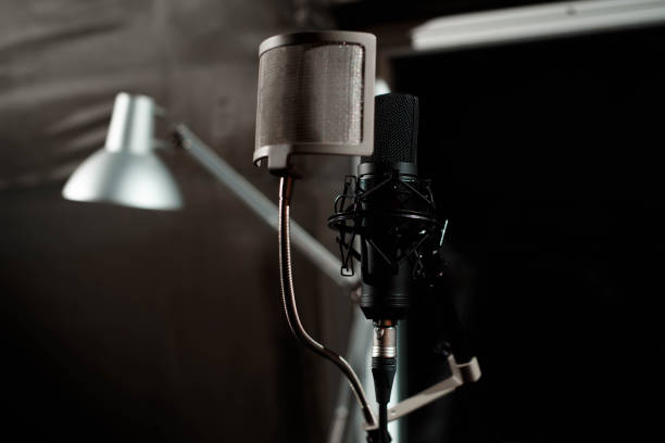 istock Close up studio condenser microphone with pop filter and anti-vi 1148465875