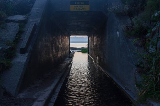 istock A tunnel in Meadowdale beach area 1148468718