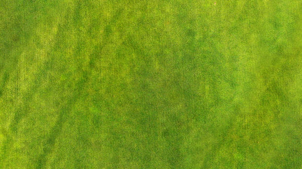 istock Aerial. Green grass texture background. 1148470465