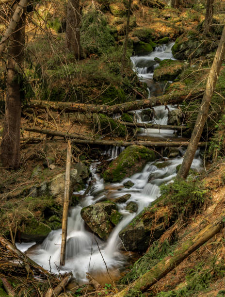 istock Big spring water on nice creek in spring day in Krusne mountains 1148472976