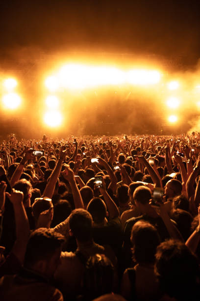 istock Live performance at music festival! 1148473022