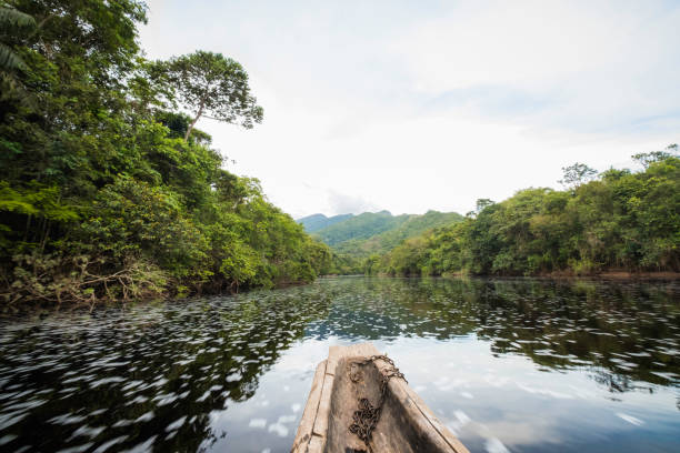 Beautiful blue sky reflecting in the Amazonia Basin river. Corocoro river goes along Yutaje Community whicth mean in the native language:  River Foam (Espuma del Rio)