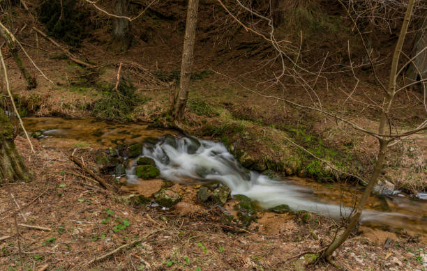 istock Big spring water on nice creek in spring day in Krusne mountains 1148479025