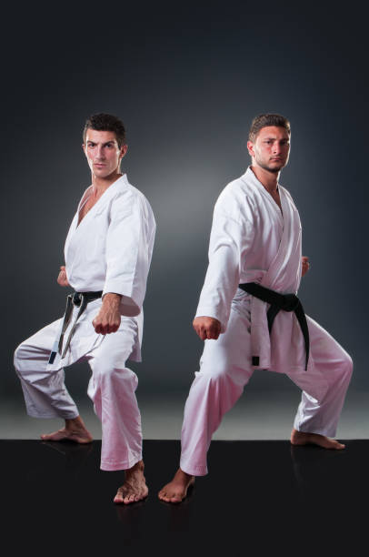 istock Two handsome male karate players posing on the gray background 1148491566