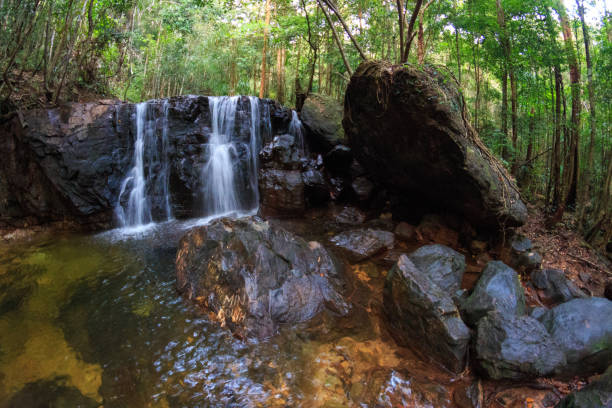 istock Small waterfall in jungles, Phu Quoc, Vietnam 1148491668