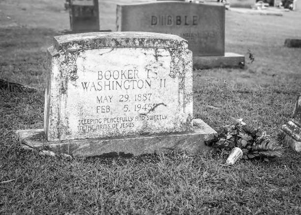 A broken tombstone laying on its side overgrown with ivy and weeds shown in black and white