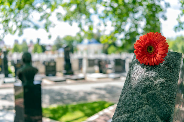 istock Flower on memorial stone close up 1148494253