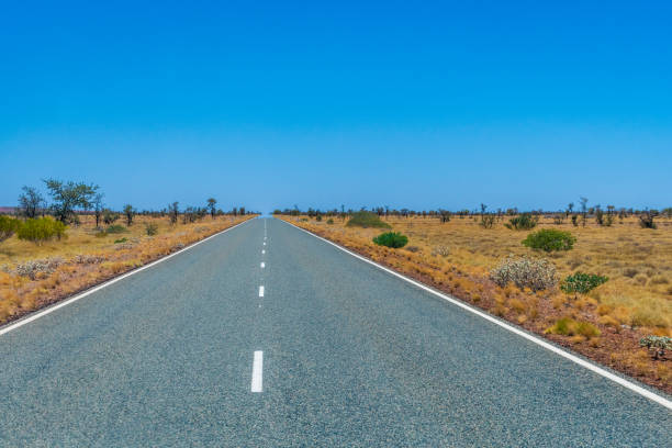 istock Long empty road in Australia leading through savanna landscape touching the horizon 1148495178
