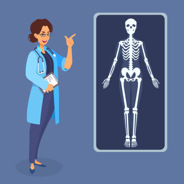 ilustrações de stock, clip art, desenhos animados e ícones de woman doctor points her finger at the x-ray poster picture of the human body. - doctor vector radiologist happiness