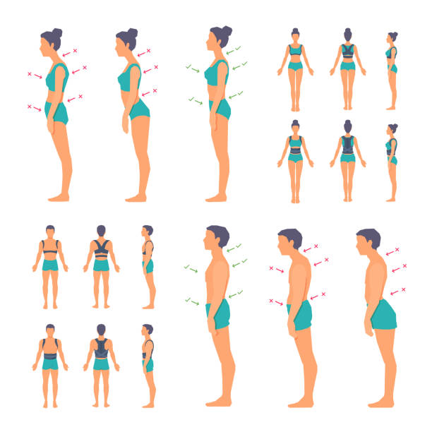 척추의 정확 하 고 부정확 한 자세. 정형 외과 코르 셋, 벨트, 중괄호. 전면, 후면, 측면에서 볼. - good posture stock illustrations