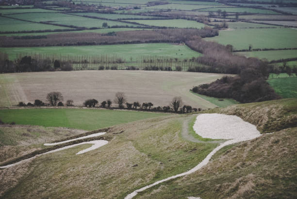 Prehistoric Uffington White Horse in Oxfordshire, England Uffington White Horse Hill, England uffington horse stock pictures, royalty-free photos & images