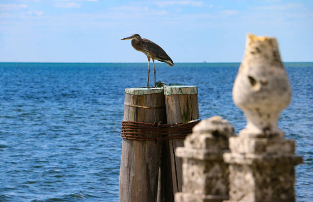 istock On The Dock of the Bay 1148508113