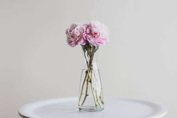istock Pink peonies in glass vase on white table 1148510669