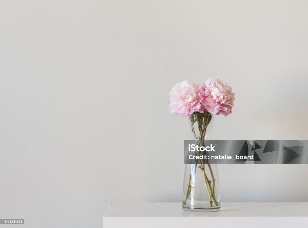 Pink peonies in glass vase on white shelf Pink peonies in glass vase on edge of white shelf against neutral wall background - selective focus Flower Stock Photo