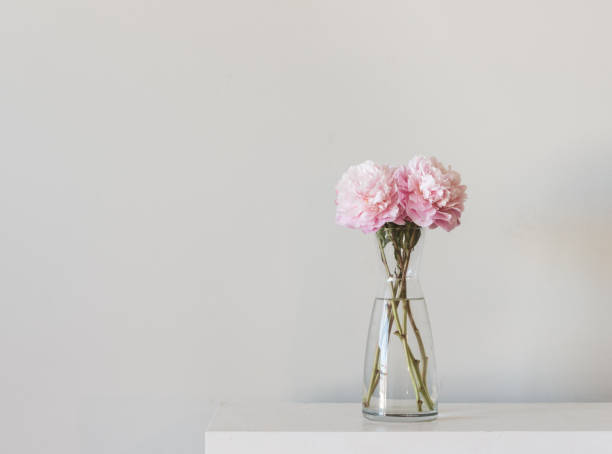 55,220 Glass Flower Vase Stock Photos, Pictures & Royalty-Free Images -  iStock | Empty glass vase