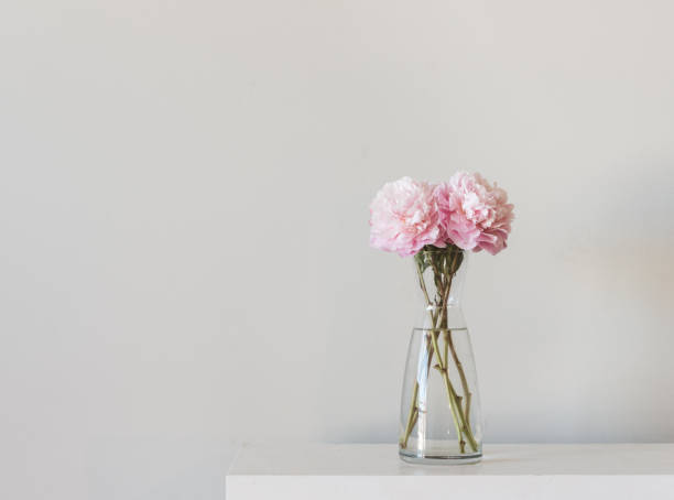 55,220 Glass Flower Vase Stock Photos, Pictures & Royalty-Free Images - iStock | Empty glass vase 55,220 Glass Flower Vase Stock Photos, Pictures & Royalty-Free Images - iStock | Empty glass vase