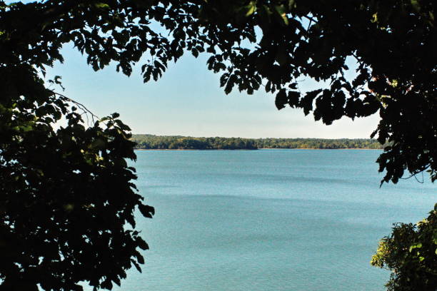 Ohio River seen through vegetation