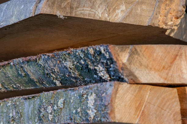 istock Folded wooden planks in a sawmill. Piled boards as texture 1148515896