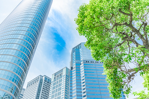 Urban landscape and fresh green in Tokyo