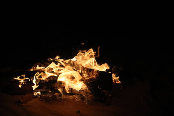 istock Burning Fire in Safari trip 1148517082
