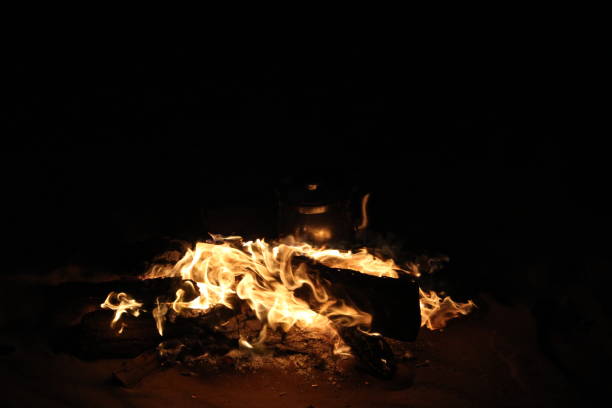 istock Burning Fire in Safari trip 1148517090