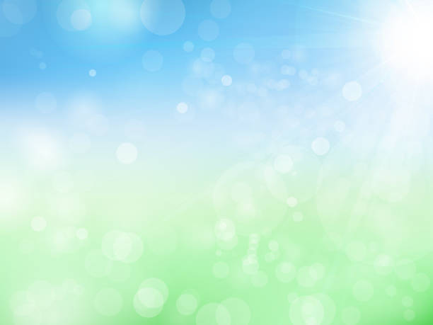 fresh green and sun fresh green and sun blur background stock illustrations