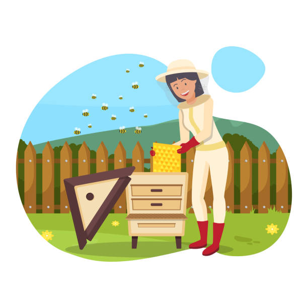 Woman in Overalls and Mask Produces Honey. Vector. Protective Suit and Mask. Woman in Overalls and Mask Produces Honey. Bees Flying near Hive. Beekeeper Costume. Stand near Hive. Apiary on Background Blue Sky. Vector Illustration. Hobby Beekeeping. hiver stock illustrations