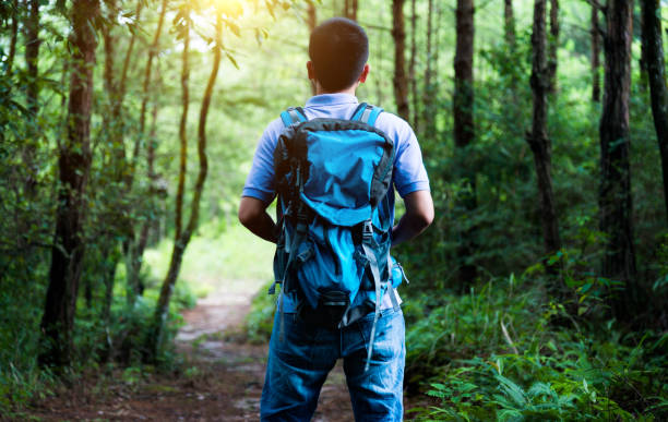 Young asian man hiking in forest.