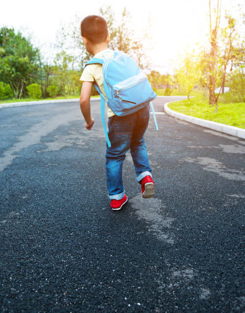 istock Little asian boy with his backpack walking to school 1148526239