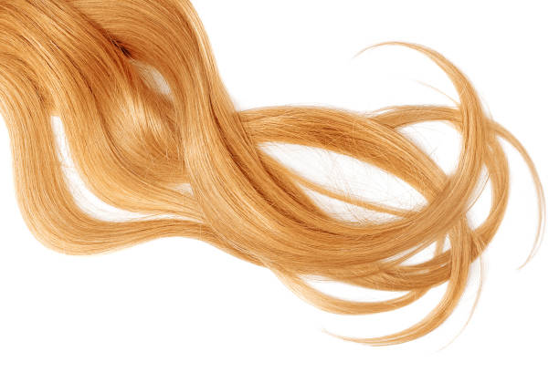 istock Long blond hair isolated on white background 1148532500