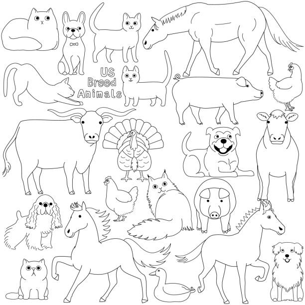 doodle of US breed domestic animals doodle of US breed domestic animals duroc pig stock illustrations