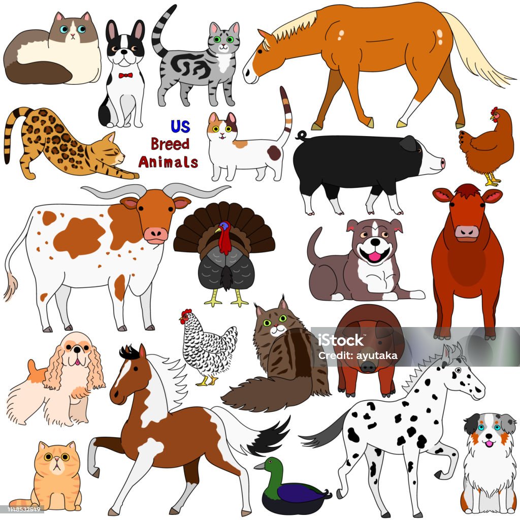 doodle of US breed domestic animals Dog stock vector