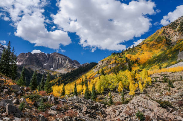 istock Colorado - Aspen Color in the Valley 1148536685