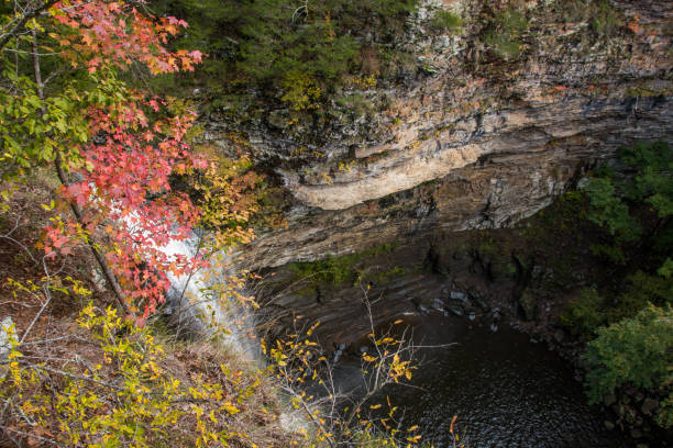 istock Petit Jean SP - Cedar Falls Old Overlook 1148536735