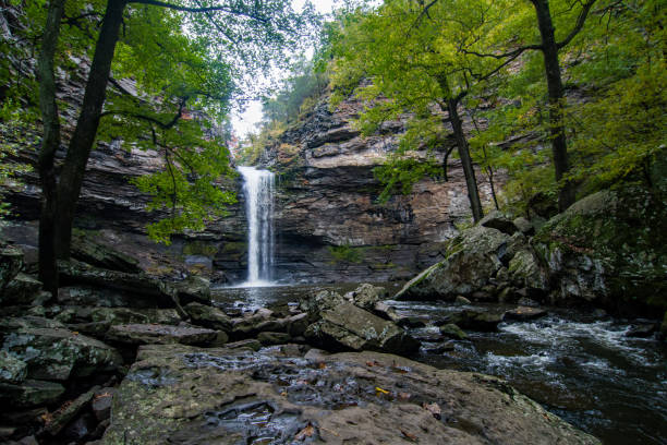 istock Petit Jean SP - Cedar Falls & Cedar Creek 1148537346
