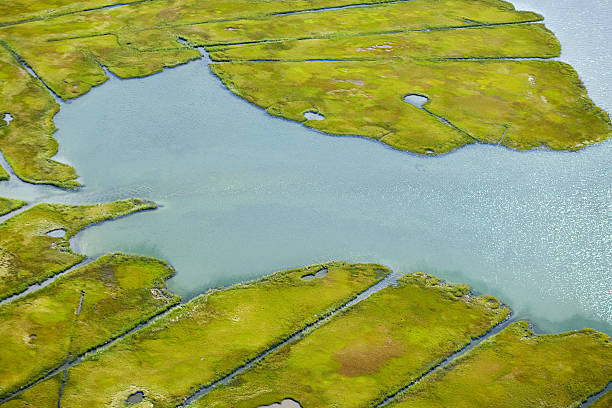 água e paisagem, newport county, rhode island, eua - aquidneck island - fotografias e filmes do acervo